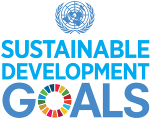 sdg logo