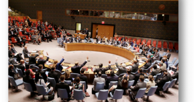 United Nations Security Council