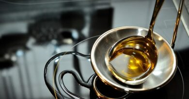 National Edible Oil Mission-Oil Palm 4 National Edible Oil Mission-Oil Palm