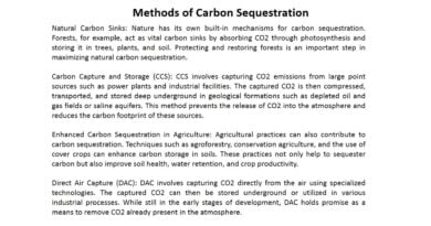Carbon Sequestration: A Crucial Solution in the Battle Against Climate Change