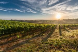 Simplified Current Affairs 11 National Mission on Natural Farming: