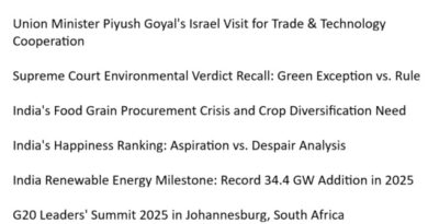 Daily Insights November 20, 2025