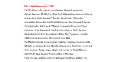 Daily Insights November 27, 2025