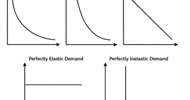 degree of elasticity