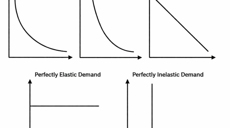 degree of elasticity
